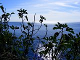 (74)  Aci Castello.JPG
